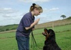 give you expert advice on your dog small1