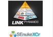 build Link Pyramid to your website backlinks from High Pr Wiki ,Web 20, Forum Profile, Social Bookmarking and Ping to rank at get more views
