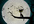 in 24hrs create this Spooktacular Black Cat with Bats and Pumpkins under a Full Moon animation for your Halloween Greeting video