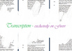 transcribe audio/video of any length to your exact criteria; extra fast delivery available