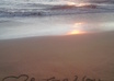 make a short video of your message in the sand of beautiful Hawaii small1
