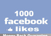 get you 1000 REAL Facebook likes/fans to your fan page 24to48 hr