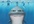 create a TALKING shark