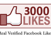 3000