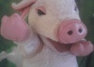sweetly speak your video message, or write a mediumship reading small1