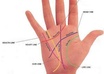 show you the future of your palm