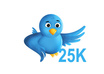 T25k