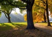 send you 100 beautiful landscape and garden photos