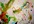 collaborate with my son to paint you a picture