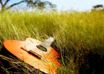 Guitar-in-grass