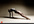 record an amazing video for you in a YOGA pose