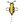 graphicbee
