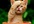interpersonal BOOKMARK your individual websites so that you can 550 unique interpersonal bookmark websites plus Five days drip nourish index