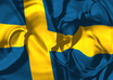professionally translate Swedish and English texts