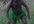 say anything occasion of christmas and happy new year with JuNgLeMaN funny style