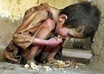 help end world hunger through The World Food Programme