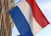 Dutch_seo