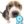 elperro