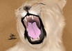 draw any animal you request