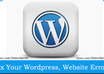 customize Wordpress, Fix WORDPRESS Errors,Css,Plugins,Widgets,Themes,Slider or any in 24 Hours
