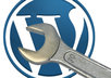 install and customize Wordpress, and i will install some of the best plugins you will need