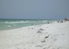 send you sand from Florida east or west coast beaches