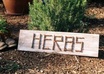 Herb_2