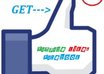 give you 3500+ facebook website likes Guaranteed
