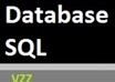 do any database related work or programming
