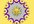 use the Tarot Cards and reveal your future to you