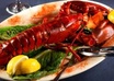 send you over 1000 cooking lobster recipes