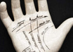 read your palm and tell you about your future