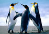write a story up to 500 words from any picture