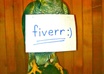 make a photo with your message hanging on my HAWK small1