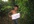 make your website,valentine wish,birthday wish or any message with dance in a jungel