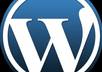 install Wordpress, plus plugins and themes, on your website