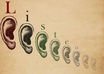 listen to anything you have to share/vent/talk about