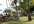 answer four questions about visiting Phuket