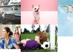 find you 50 royalty free images on a topic of your choice