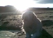 record a HQ audio file of me reading your upto 200words at a location on the English northeast coast
