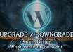 upgrade or downgrade your WORDPRESS website professionaly within 24 hours