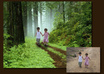change any photo background to a new, desired one small1