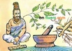 enhance your genetic Fairness using homemade Indian ayurveda