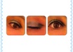 do a step by step hair or makeup tutorial