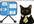 be your exec assistant for 20 mins as a web dev, SEO writer/editor, marketing consultant, cyber researcher, phone screener and messanger
