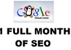 do a MONTH of Google Penguin Seo to help recover from Google Penguin and Panda with white hat seo