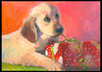 paint a Whimsical Black and White Custom PET Cartoon Caricature from a photo, Limited Time ... Regular price - 75 dollars and up - Great Gift idea!