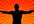 post about your web site to my Tweeters and Over 1,500 Face Book fans