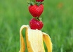 make you the Best and Cheapest Bodybuilding Diet with the help of mathematical optimaziation