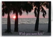 send a postcard from Clearwater, Florida to anywhere in the US
